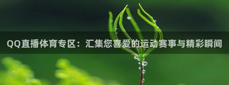 51视频在线直播nba：QQ直播体育专区：汇集您喜爱的运动赛事与精彩瞬间