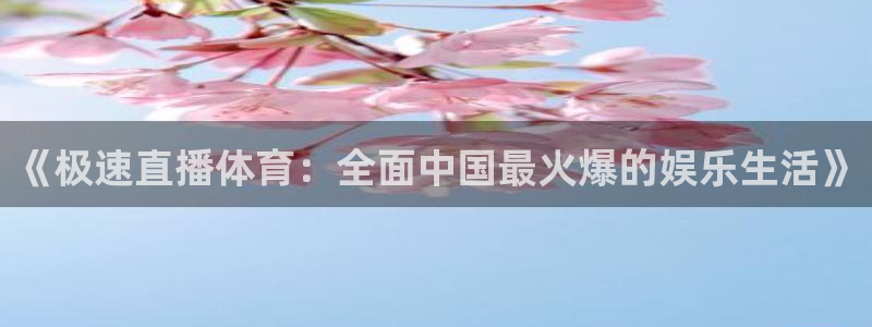 51视频在线直播nba：《极速直播体育：全面中国最火爆的娱乐生活》