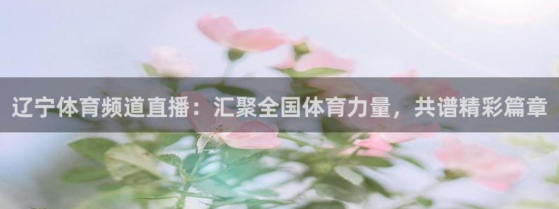 51视频在线直播nba：辽宁体育频道直播：汇聚全国体育力量，共谱精彩篇章