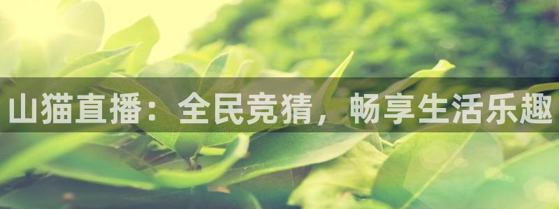 51视频在线直播nba：山猫直播：全民竞猜，畅享生活乐趣