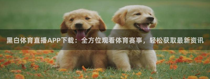 51视频在线直播nba：黑白体育直播APP下载：全方位观看体育赛事，轻松获取最新资讯